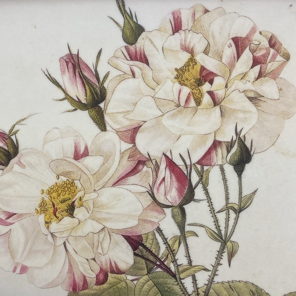 2  Melamine Handled Dinner TV
Lap Trays Roses Flowers Floral - Picture 5 of 16